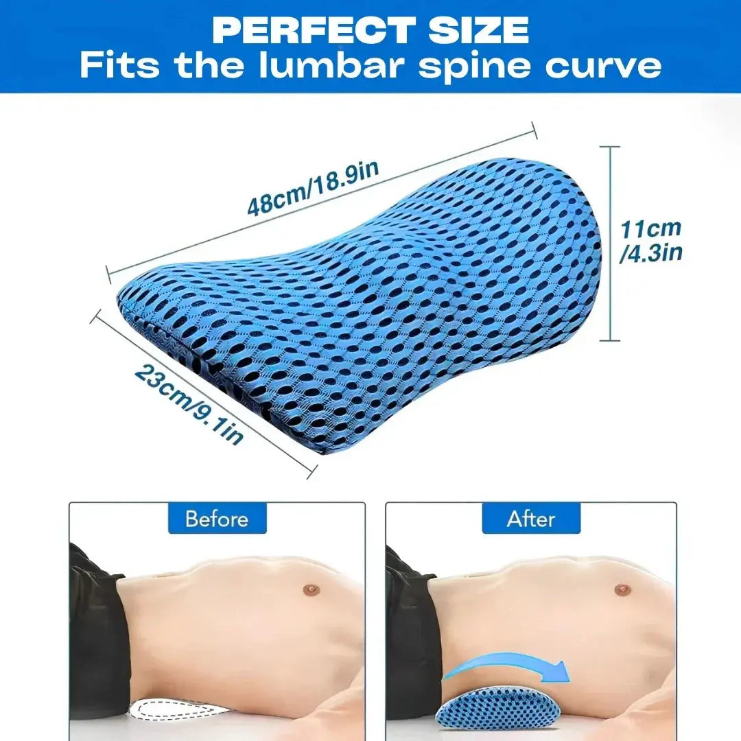 Velmesta Portable Lumbar Support Pillow