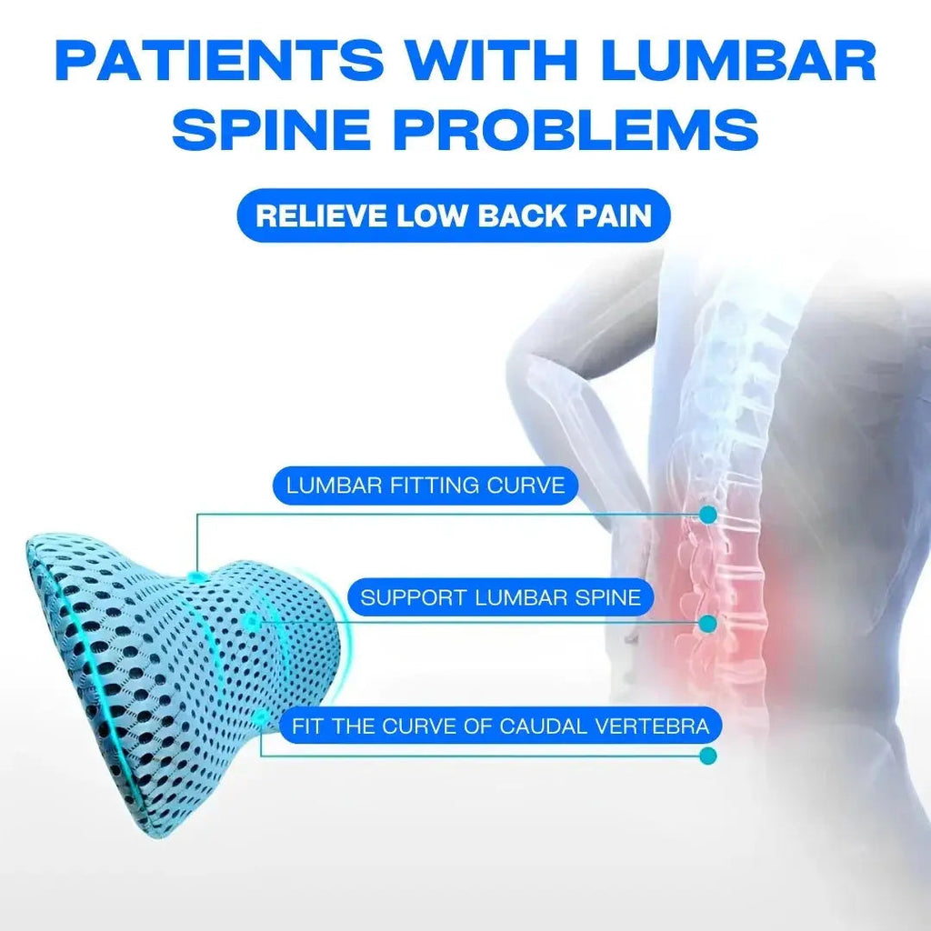 Velmesta Portable Lumbar Support Pillow