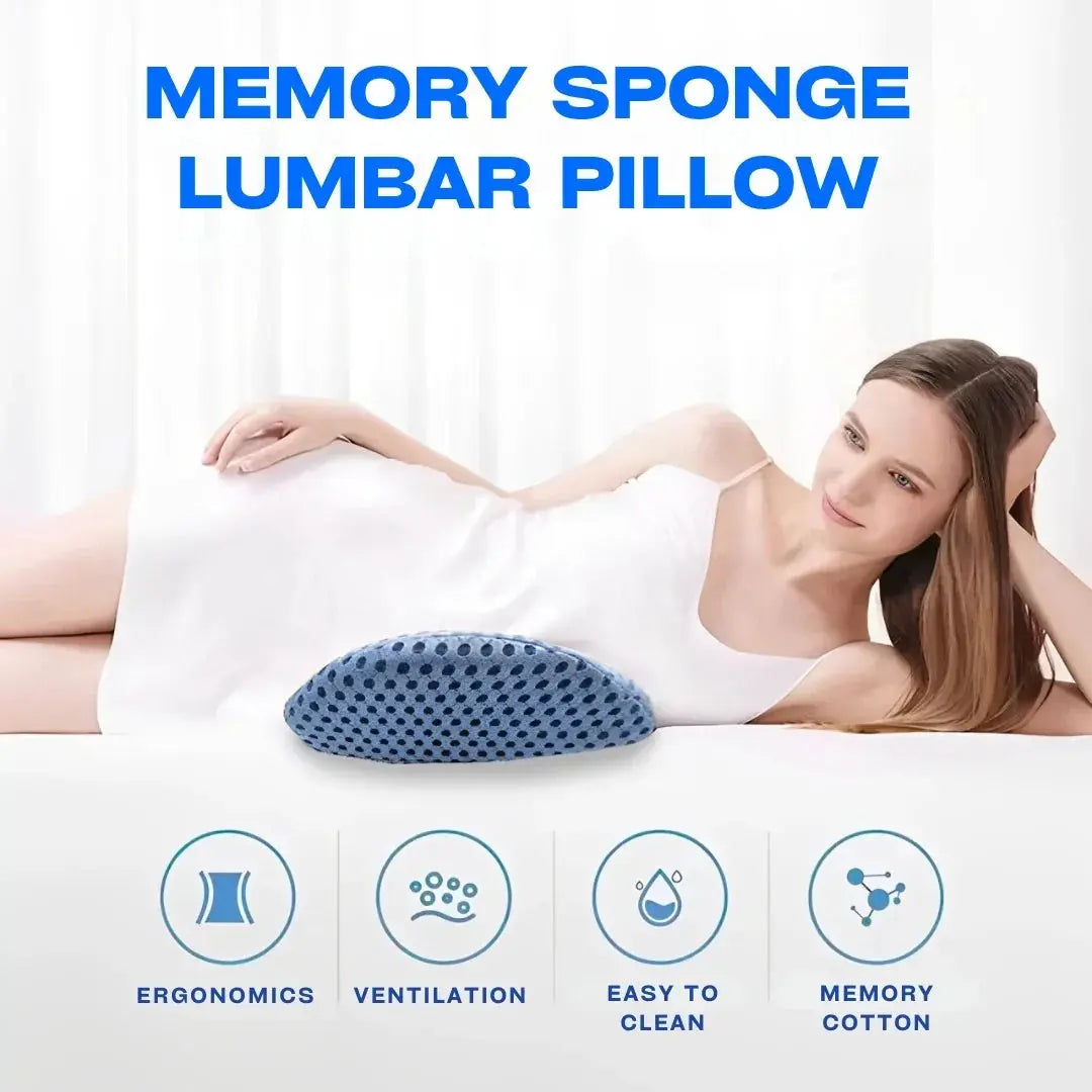 Velmesta Portable Lumbar Support Pillow