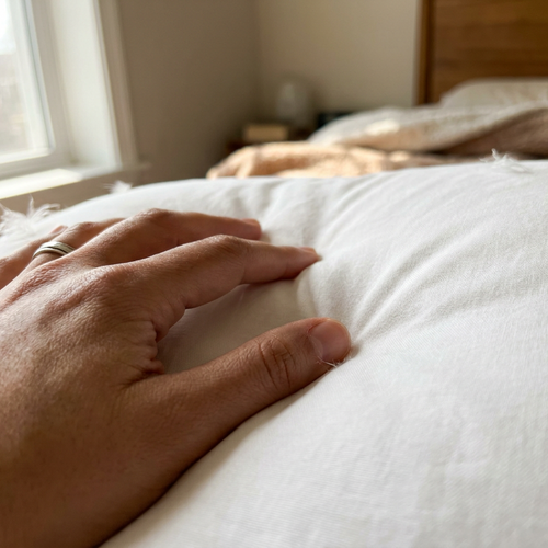 Velmesta Cloud Down Pillow