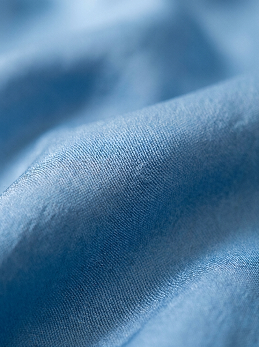 Velmesta Washed Silk Summer Quilt Set - Washed silk with an embroidered finish